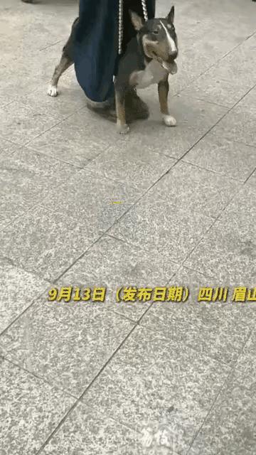 不被约束的兽性，一定会伤害无辜，所以，兽性必须被约束！