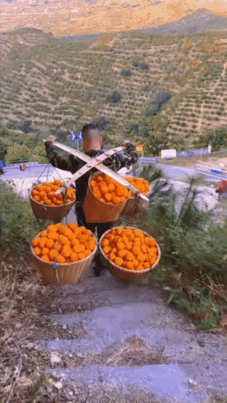 人有多大胆，地有多大产！