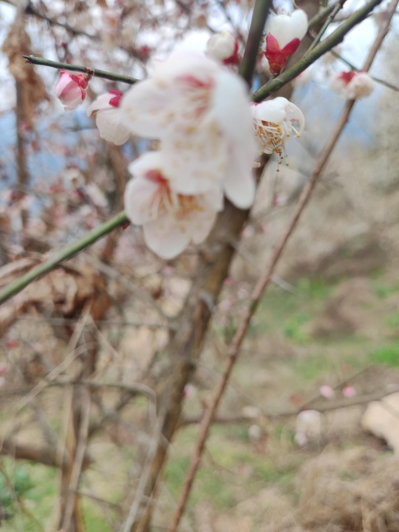 济南地铁3号线的争吵，藏着多少人“把公共空间当私人领地”的错觉这两天济南地铁3
