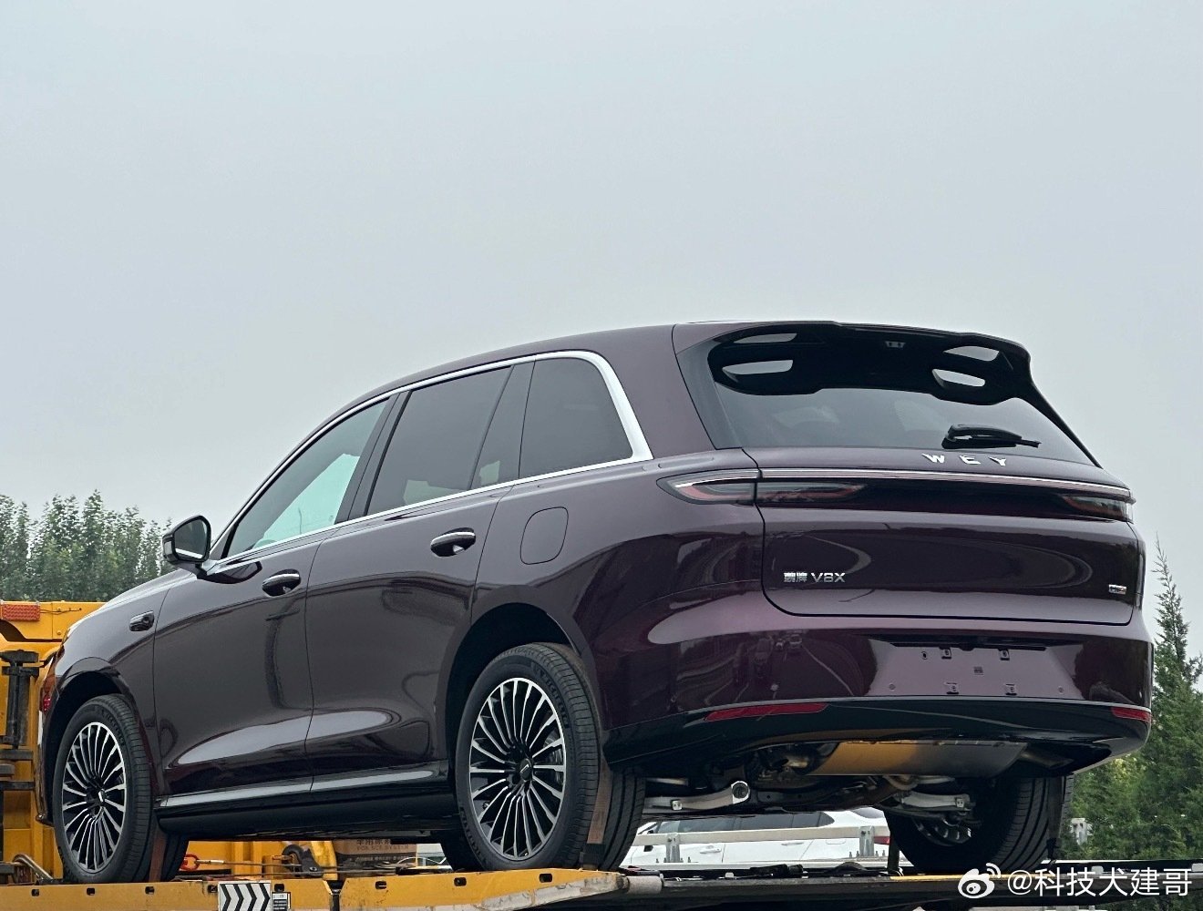 魏牌V8X是长城归元S平台下的中大型大五座SUV，主打家用与高性能，与六座V9X