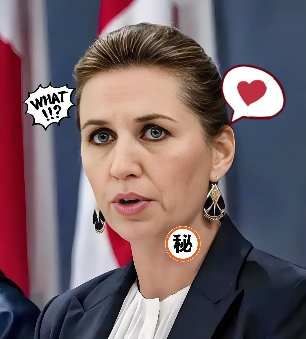 就在刚刚欧盟轮值主席国丹麦突然宣布了。用利息钱给乌克兰送装备，关注点