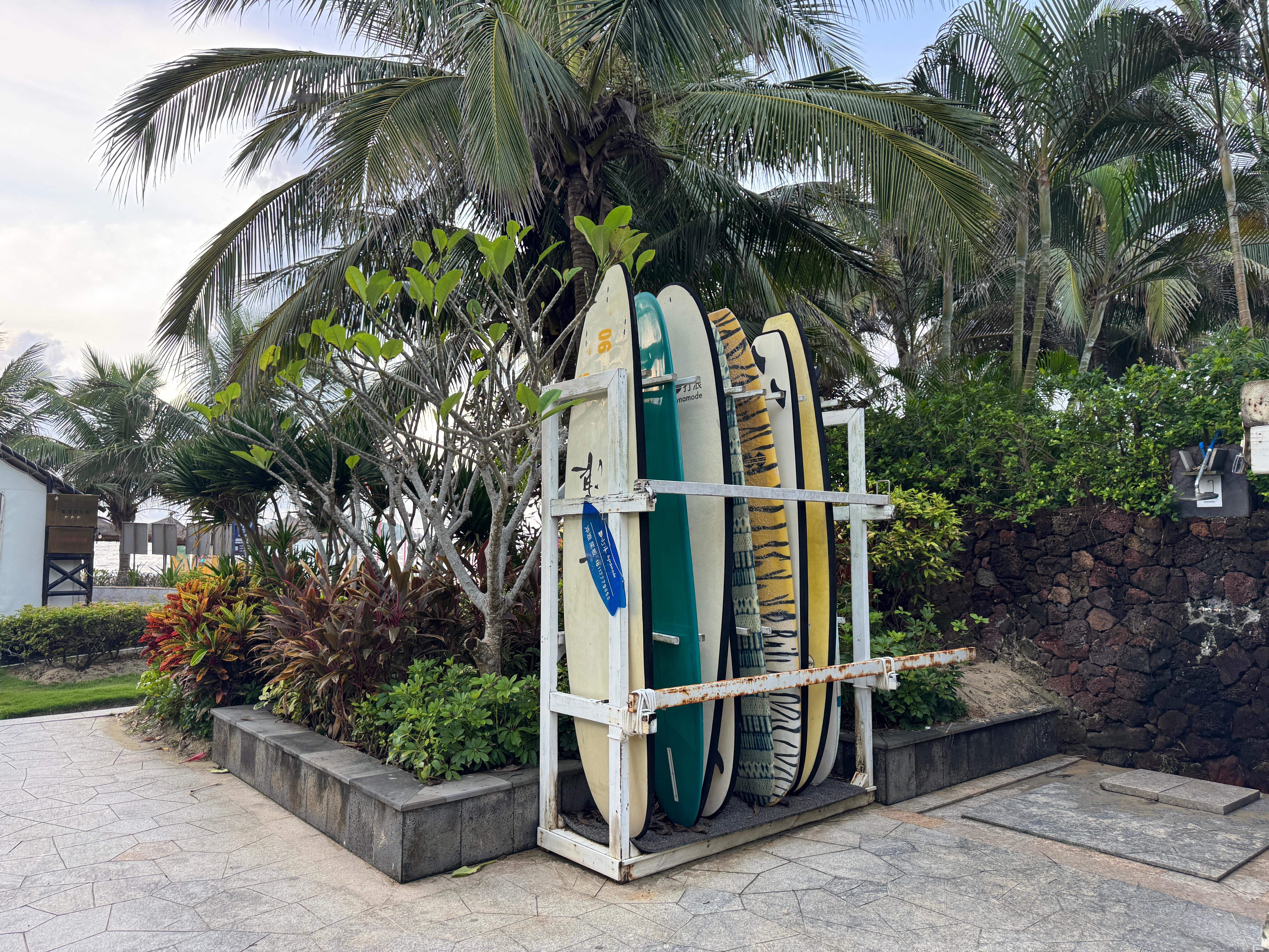 早！起来冲浪🏄​​​