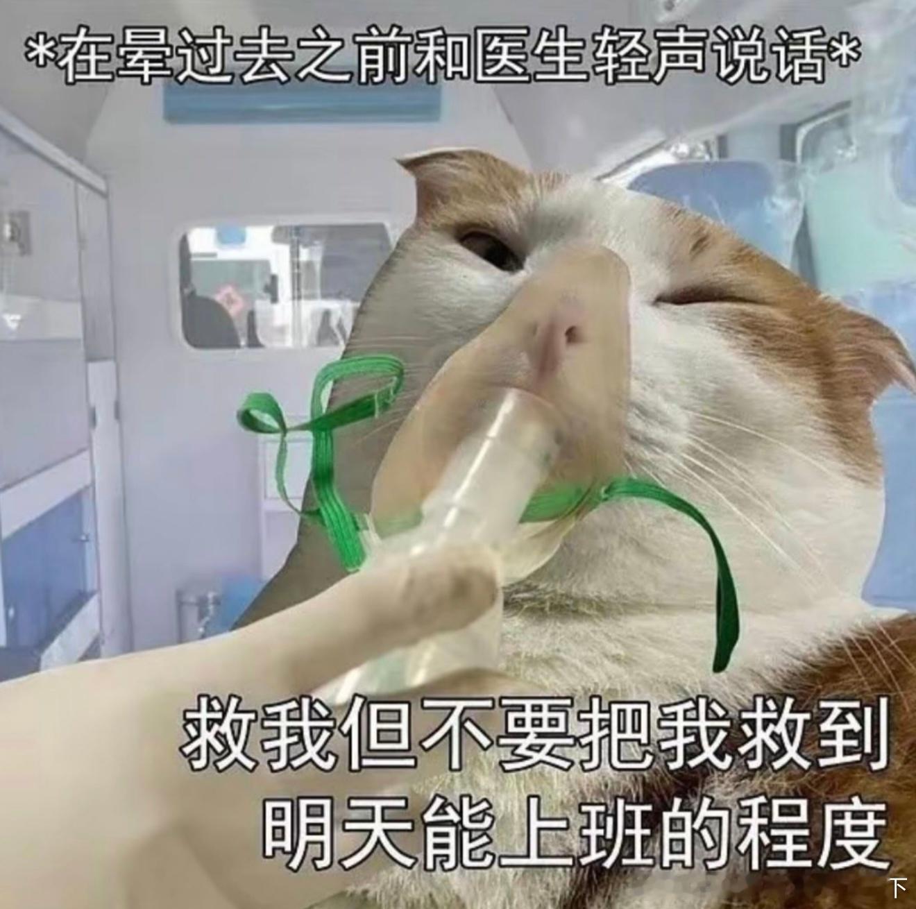 7002医生：你要求有点高呀​​​