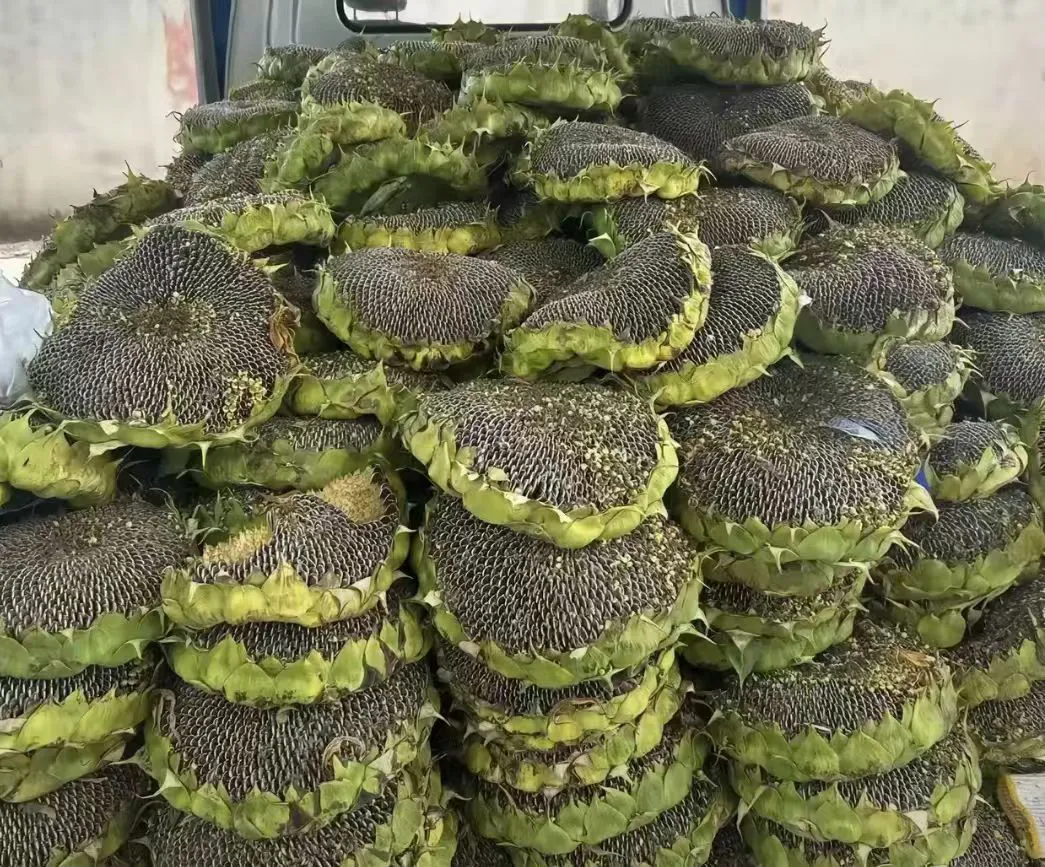 这道地道美食来自哪里？叫什么呀，馋哭了