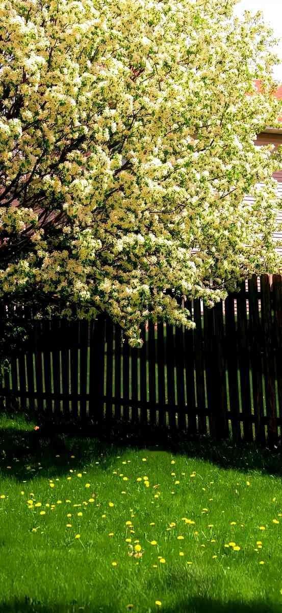 按摩师跟我说，九成九的男人都不是冲着按摩来的。这话听着刺耳，但她接着讲的那些细
