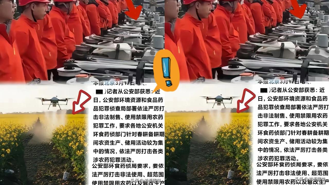 这下可算踢到铁板了！公安部重拳严查，谁还敢嘴硬说风凉话。有些承包大户仗着无人