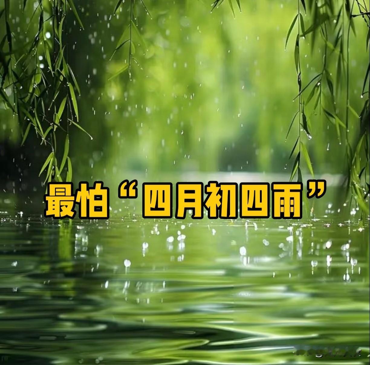 明日四月初四，老人说最怕“四月初四雨”，下雨有啥预兆岁月流转，时节更迭，转