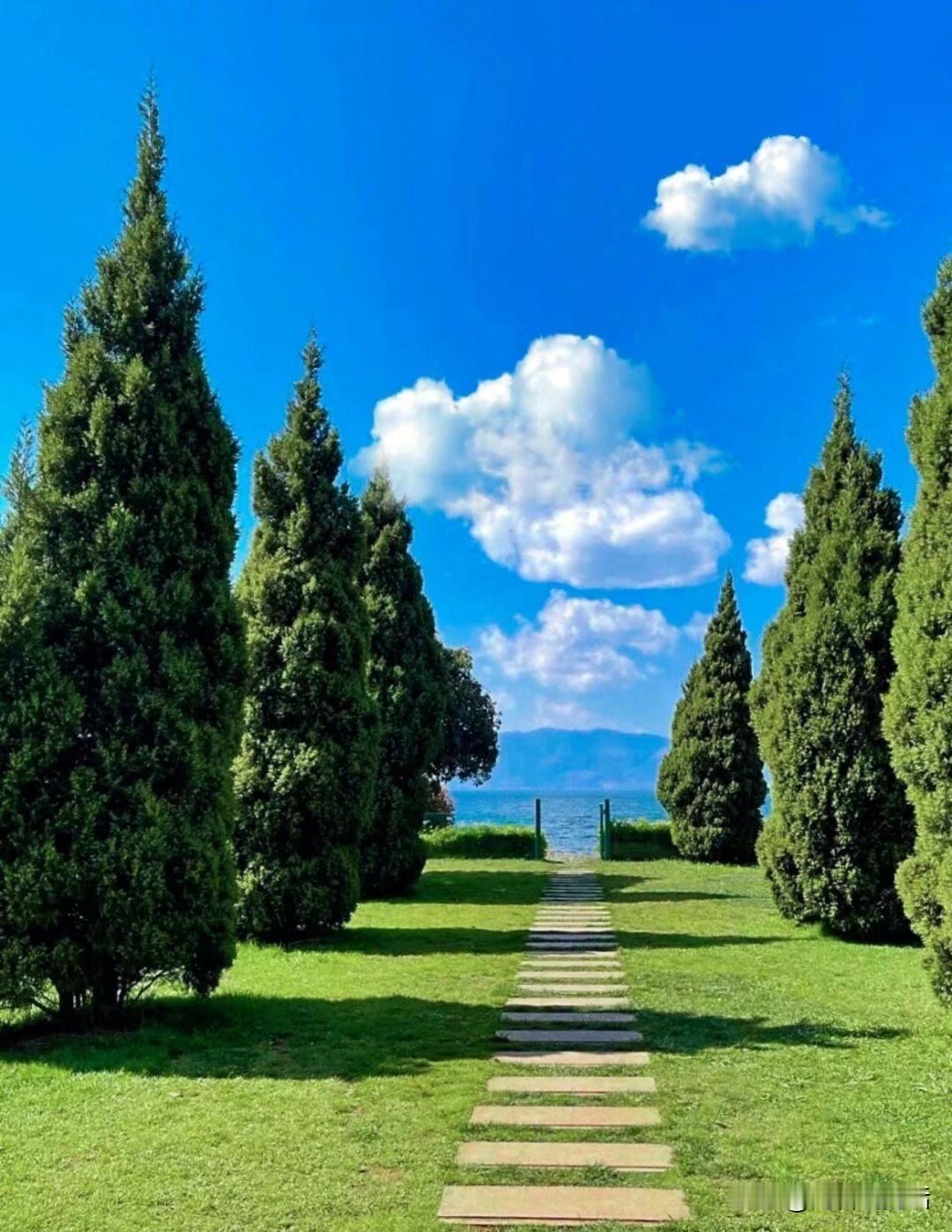 华晨宇演唱会黄了。他在直播里哭了。“现在好想骂脏话。”哭什么？委屈什么？