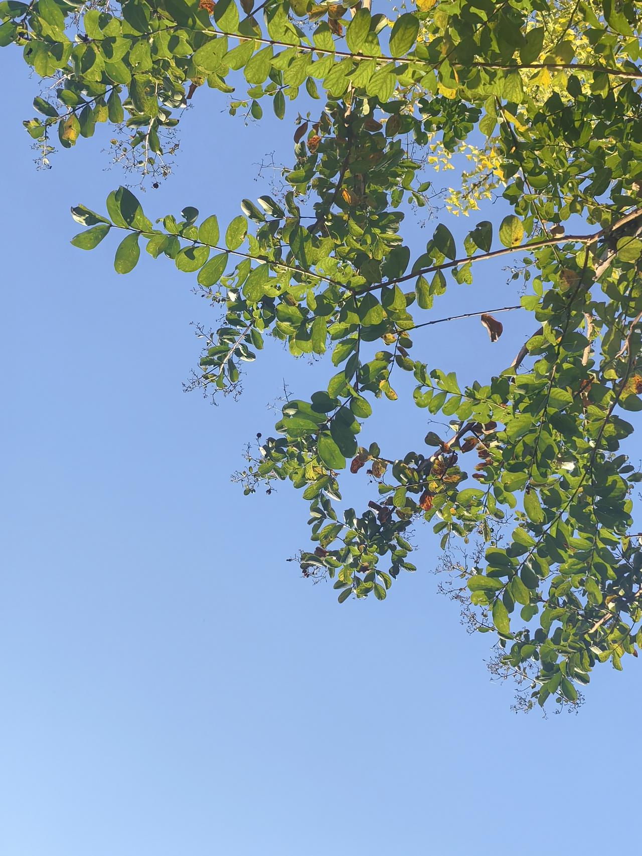 如果没有孩子,你还会跟他过下去吗?”闺蜜这话一出口,我瞬间懂了她眼底的疲惫——她