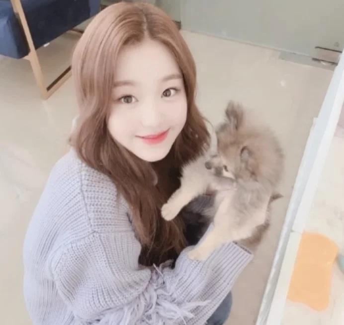 那个女孩教会我关于爱fyp审美积累张元英wonyoung