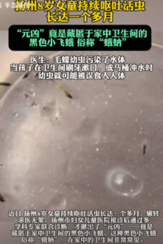 “简直防不胜防！”江苏扬州，一8岁女孩持续呕吐活虫长达1个多月，家人带着孩子就医