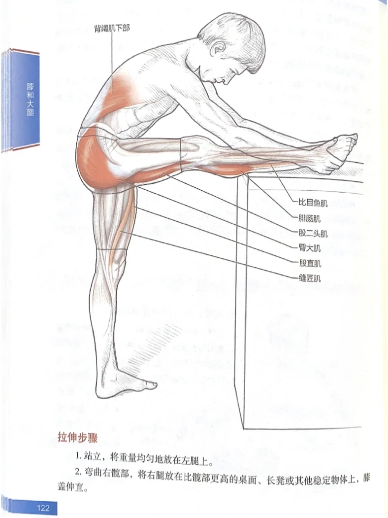 如何紧致臀腿肌肉｜简单的拉伸