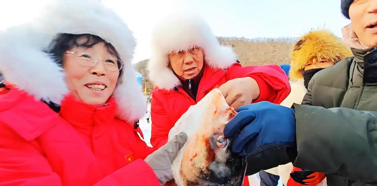 2026年春节假期，某旅游景区烟花秀现场，主持人突然来劲，现场互动拉满！大家