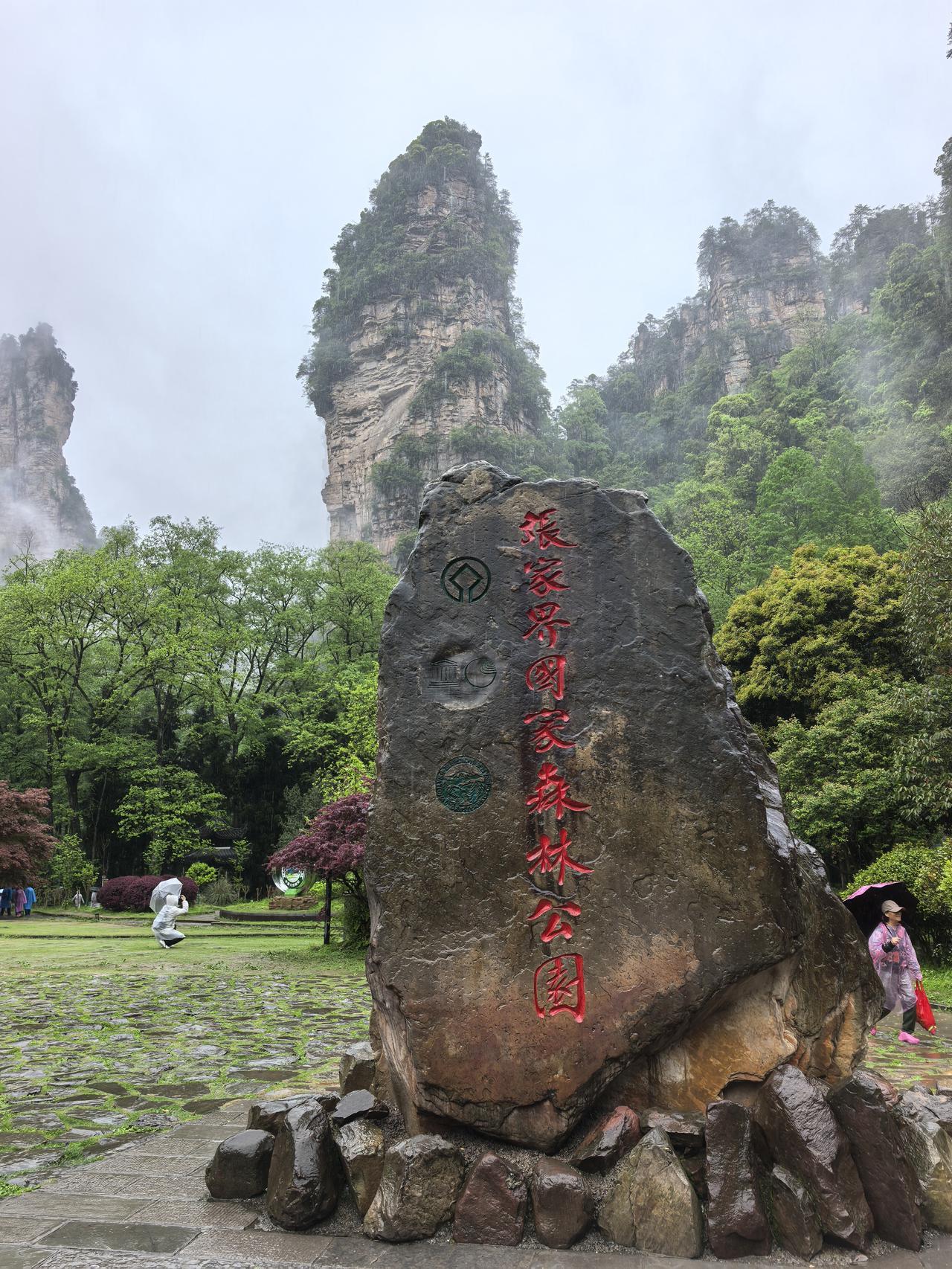 雨再大，也挡不住大家游张家界的脚步今天，决定从武陵源南门进，去黄