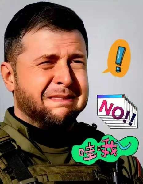 果不其然乌克兰总统泽连斯基宣布了2026年1月7日，乌克兰总统泽连斯基在