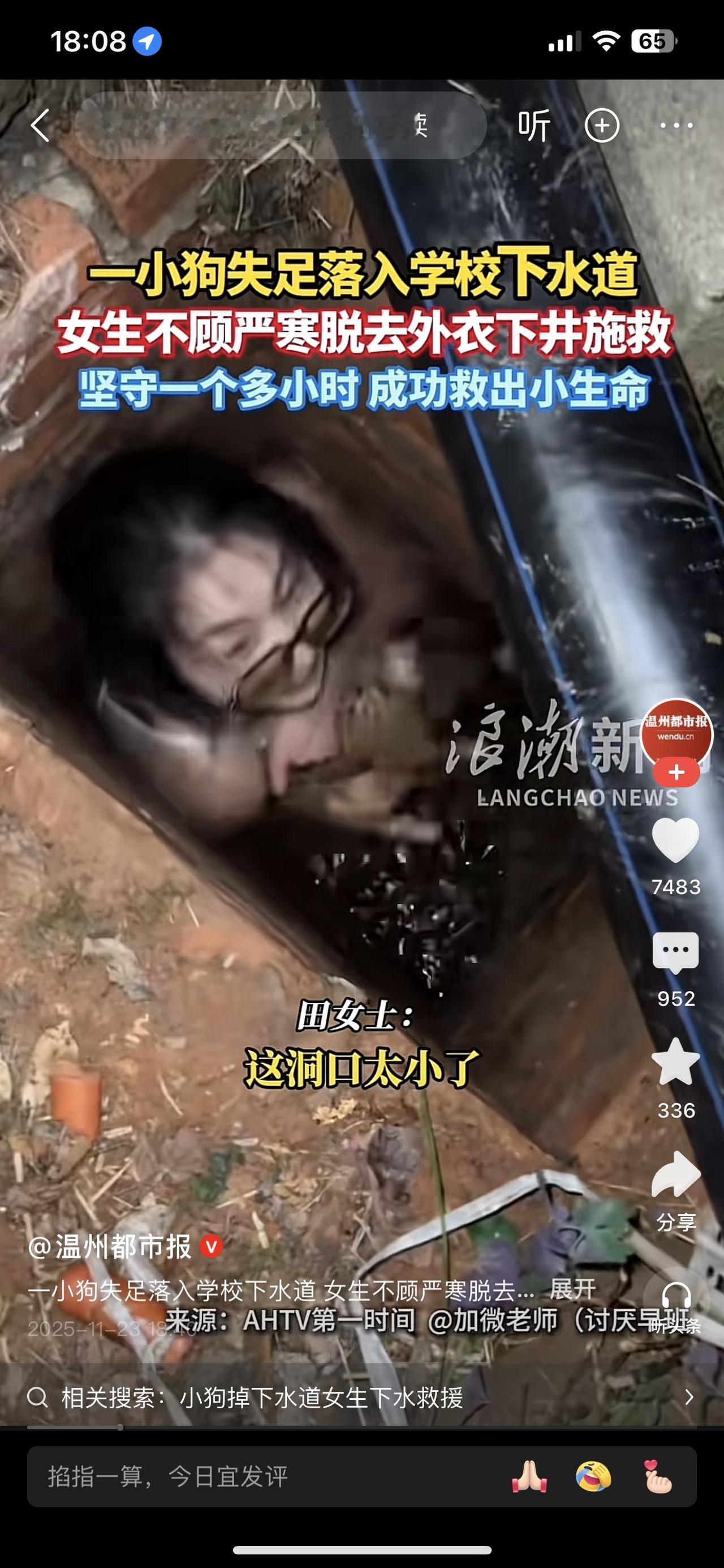 11月22日（采访），湖南常德。一只小狗掉进校园的下水道里，洞口太小、还横着一根