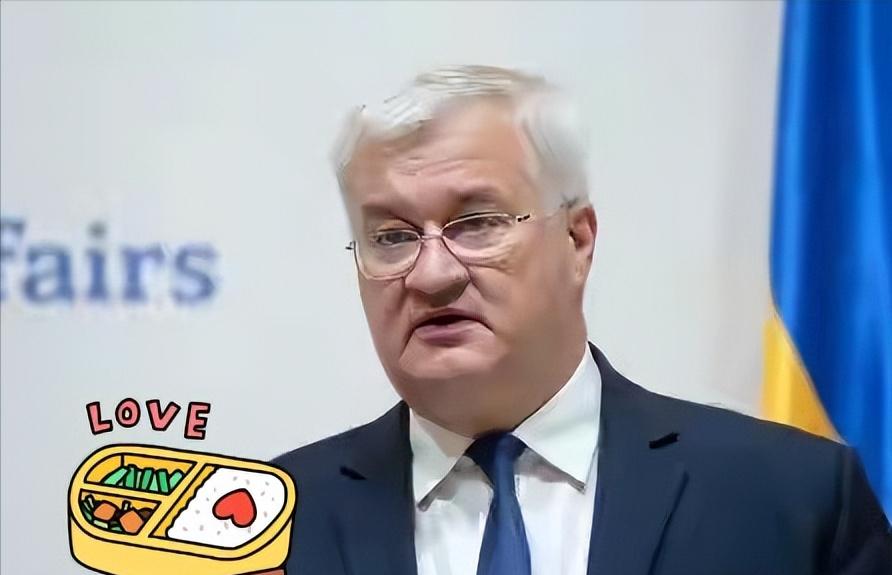 乌克兰突然放出一个重磅消息直接震惊不少人，乌克兰内阁正式宣布，一口气终止和俄罗斯