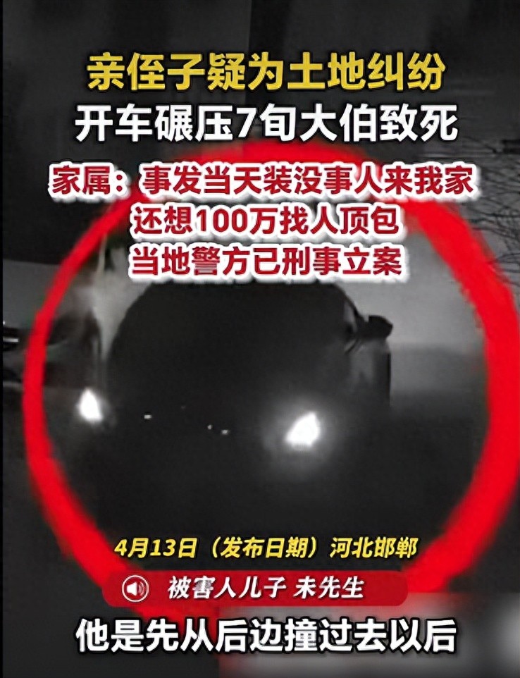 侄子开车碾死大伯欲花100万找人顶包