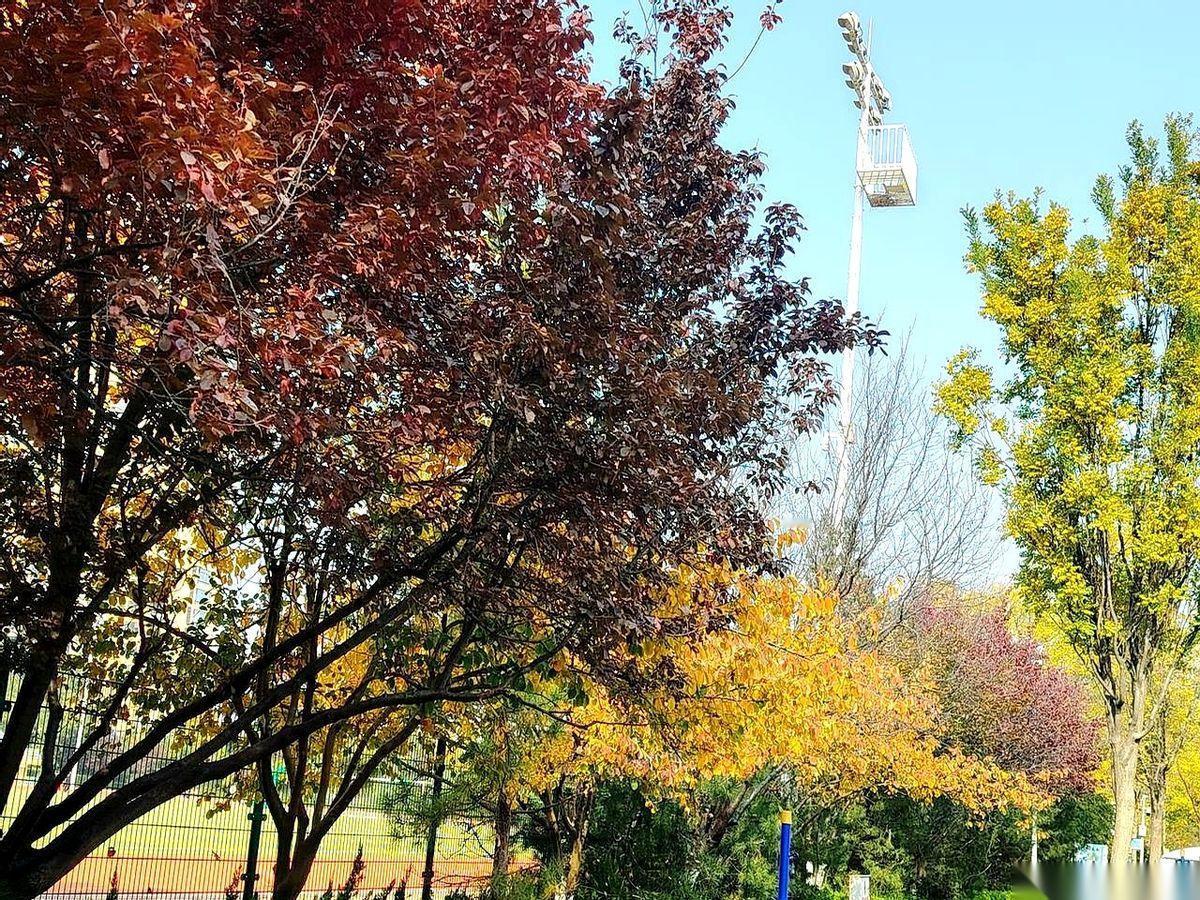 我跟你说，现在全天下最硬气的话，就是从我们小区物业嘴里说出来的。人家前两天理直