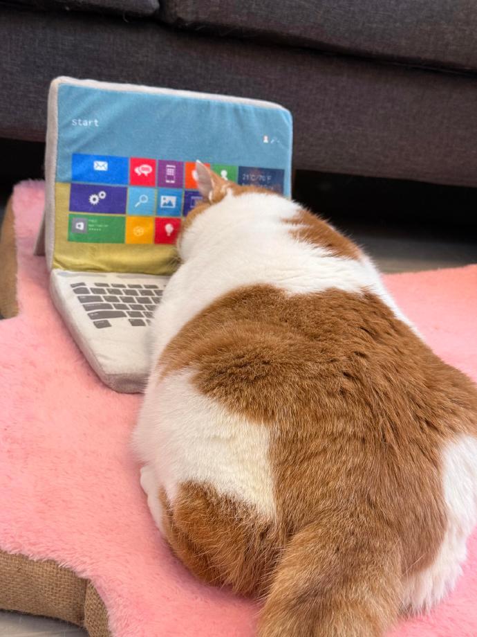 猫猫牌笔记本垫脑