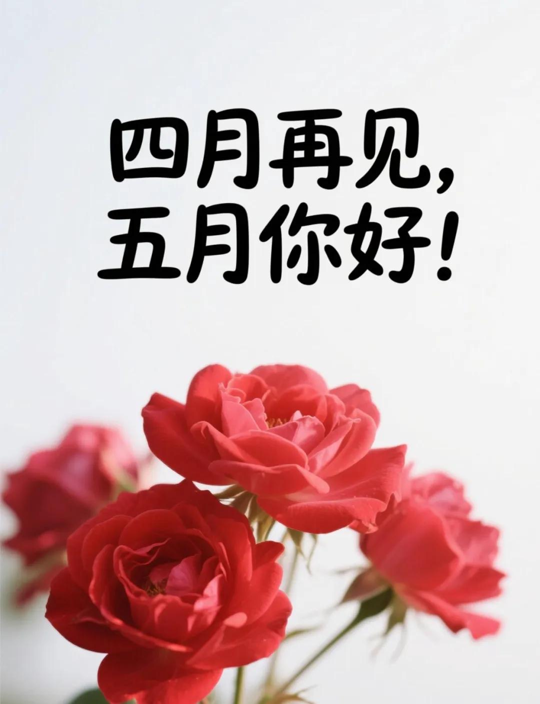 ✅适合五一节的文案1、五月我别无所求只想被阳光晒透然后用力生长遇见更