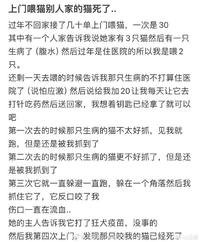 上门喂猫，别人家的猫死了