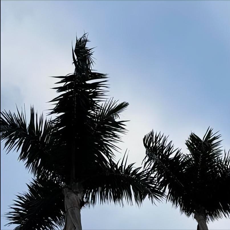 上梁不正下梁歪  贪腐11亿的白天辉跟着上级——贪腐18亿的赖小民同走不归路