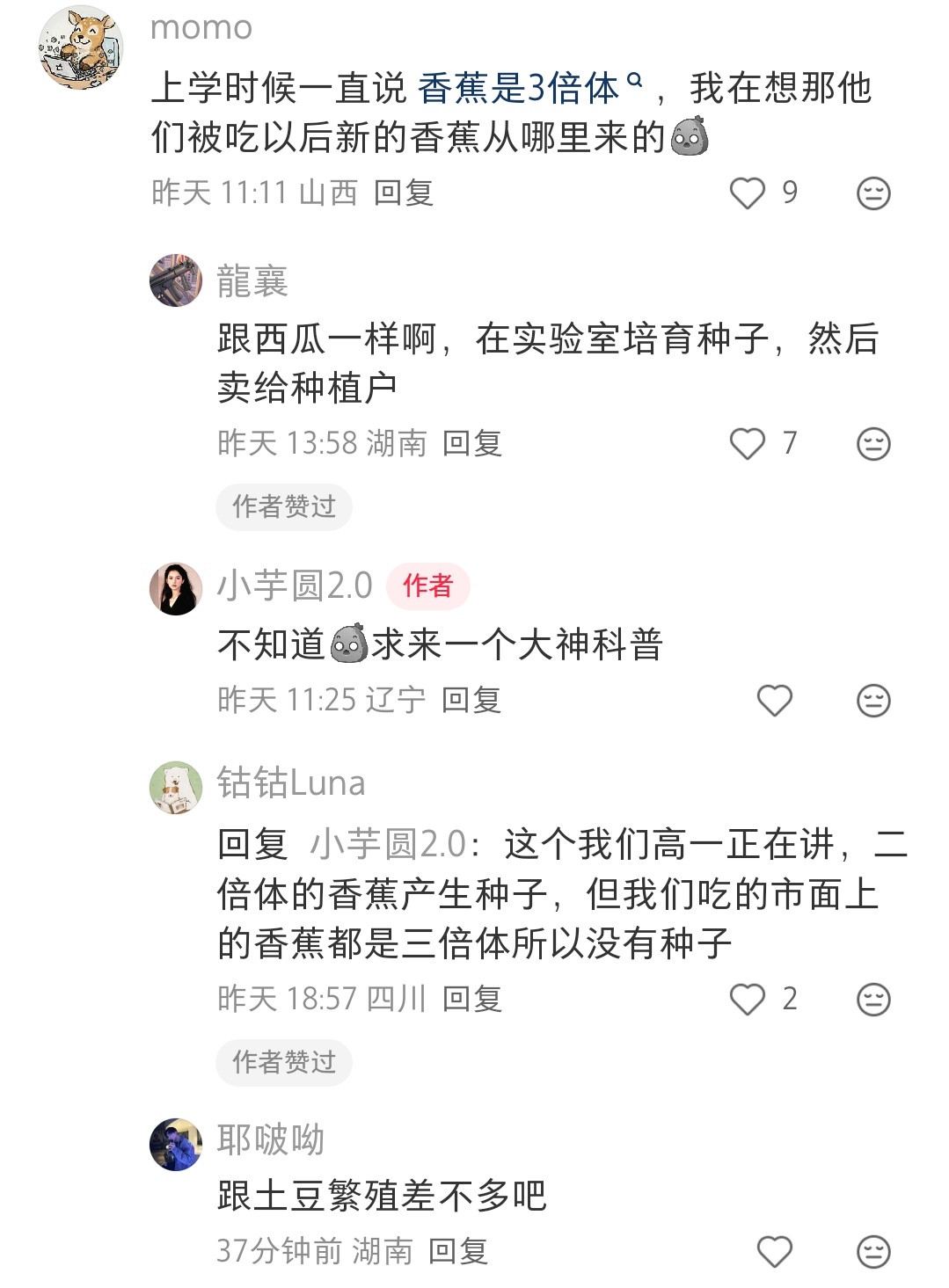 我还没见过有籽的香蕉呢🍌