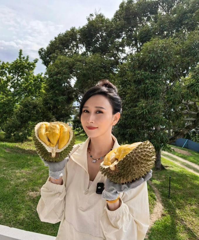 想吃榴莲那么就专门搞一个榴莲园。没错，这是艺人胡静的老公为胡静专门打造的榴莲园