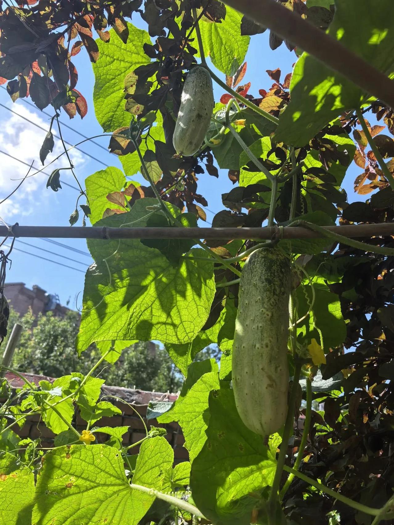 现在的年轻人怎么可以这样？李姐说起来她的儿子声泪俱下，几度哽咽说不成话。