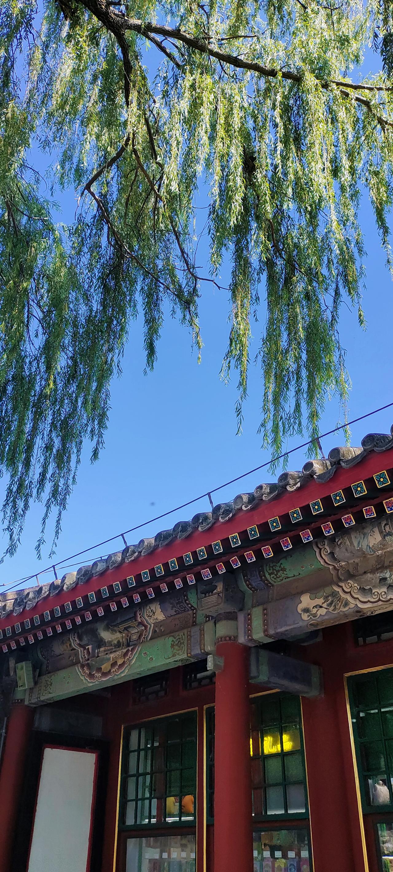 奉劝大家不要把社保停了有人交社保，交着交着就不想交了可她没想到有
