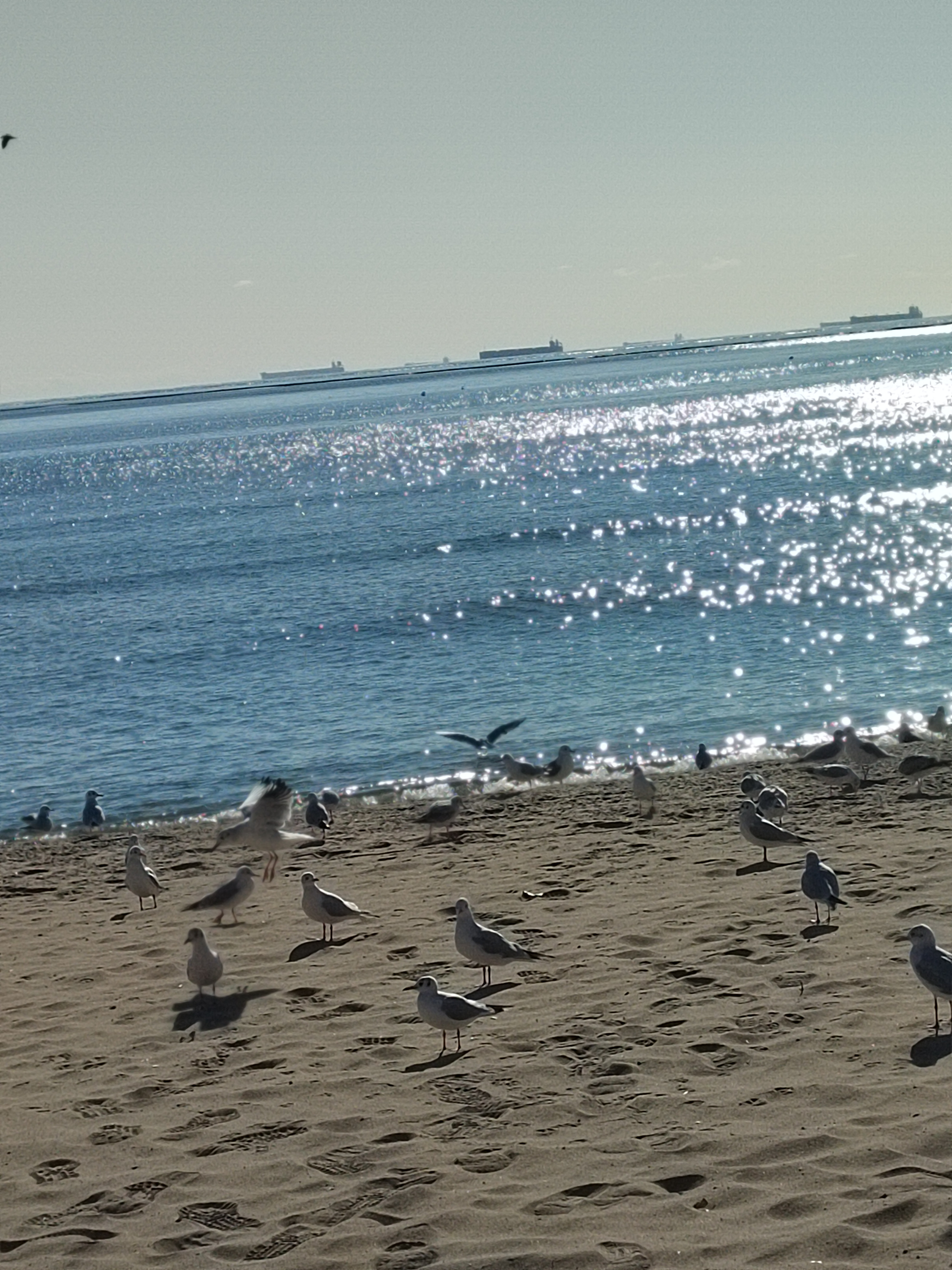 兄弟姐妹想处好关系，得保持边界感！该分清的必须分清楚！六零后和七零后...