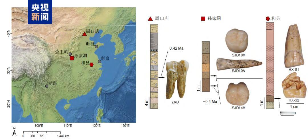 硬核突破！中国科学家撕开40万年人类演化面纱，改写全球认知尘封数十万年的东