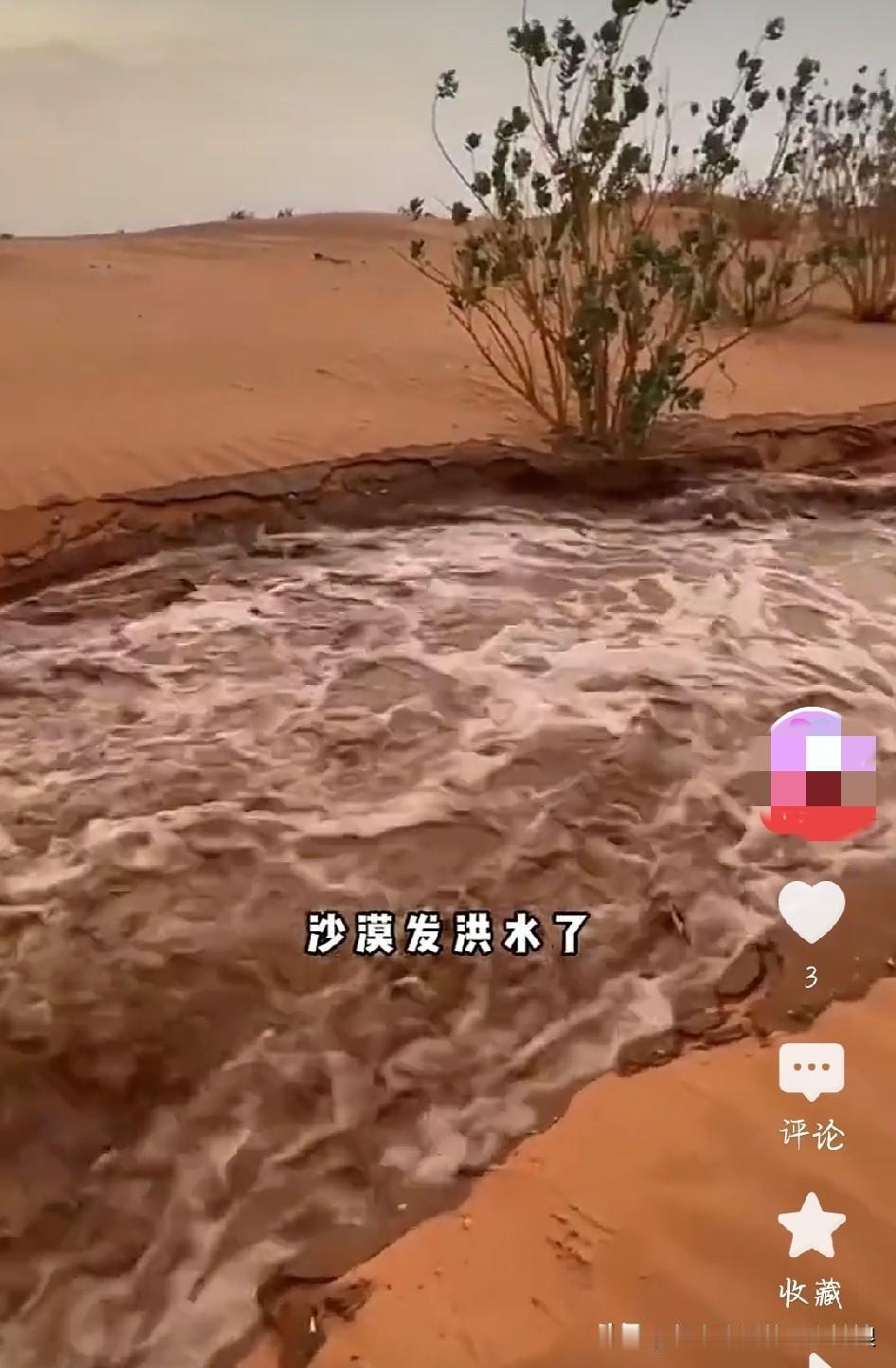 沙漠闹洪水！颠覆所有人认知谁能想到，号称死亡之海的塔克拉玛干沙漠边缘，居然