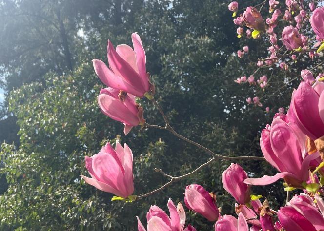 岳母当年让二女婿滚，二女婿没多言发动车就走，十二年没回门。二女儿追上去，二女婿降