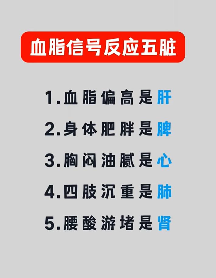 在中医理论体系中，血脂代谢异常带来的各类身体感受，和五脏功能失调存在关联：