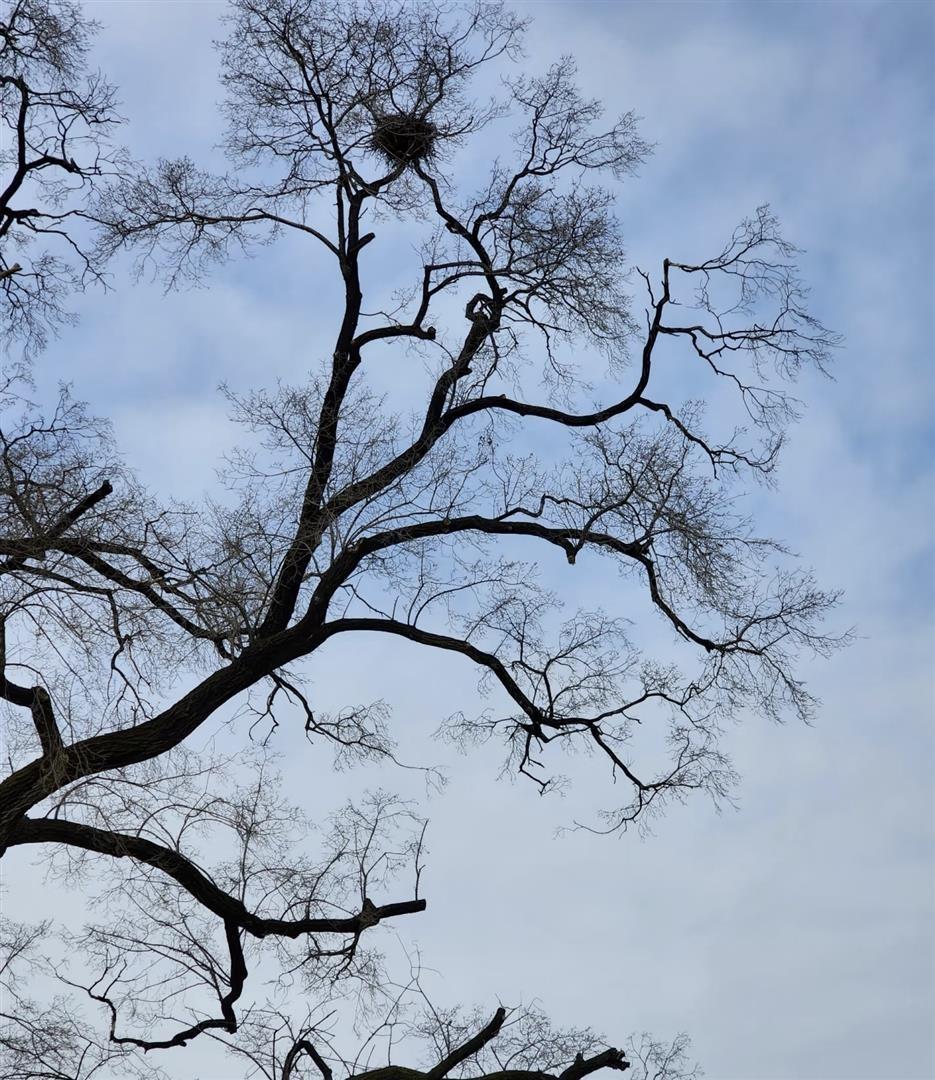 深圳剩女为啥这么多？42岁的表妹辞职后躺平在家，养猫遛狗比上班自在。38岁
