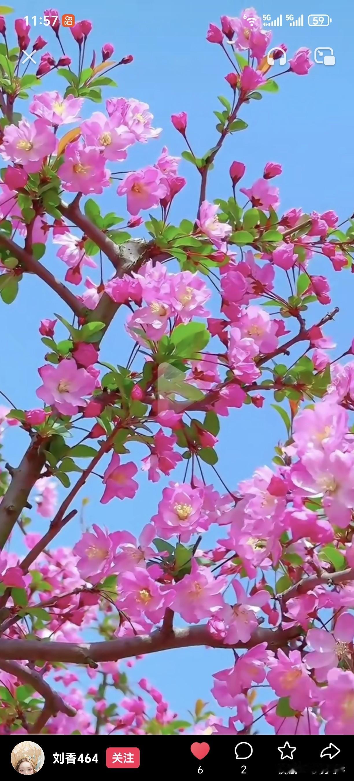 （注：上联以“冰天雪地”极写冬之寒，下联以“春暖花开”极写春之暖，去冬迎春，时令