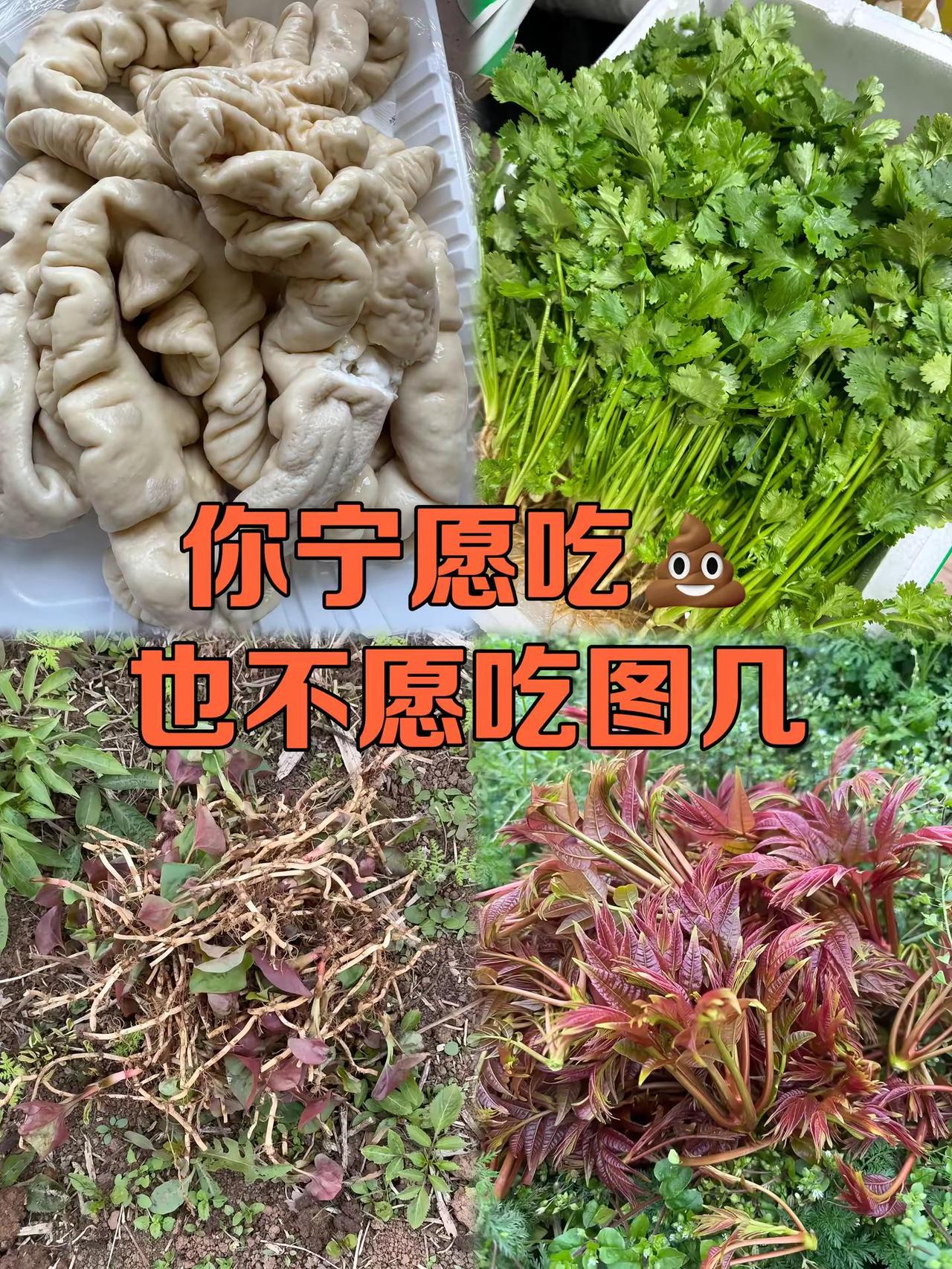 极限四选一，你选图几？