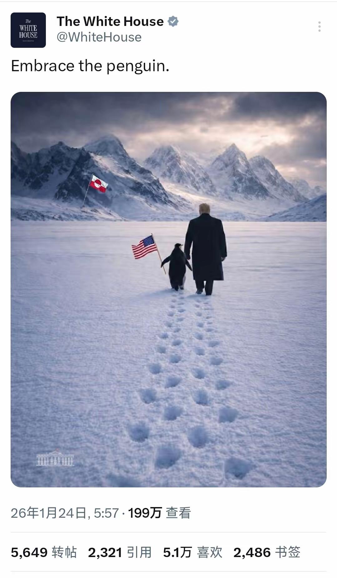 哈哈！北极圈有企鹅吗？