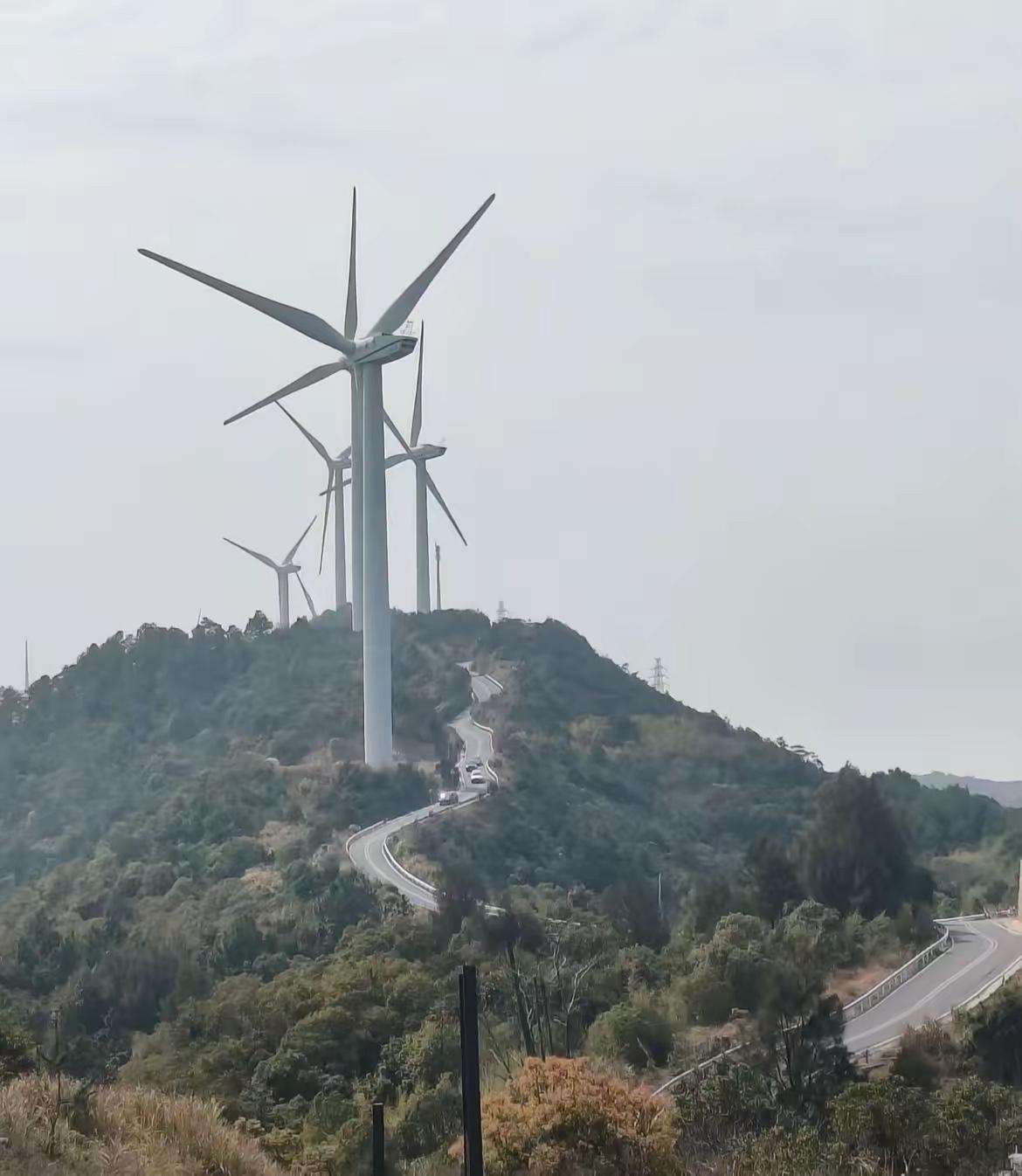 我叔叔这辈子，一天班没上过。可他大富大贵了一辈子。小时候看他天天捡好看的石头，后