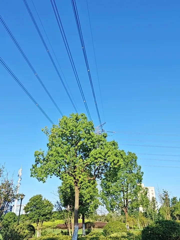 ICU住7天，花光20年积蓄！65岁大爷临终哭诉：养生，才是晚年最大的省钱人