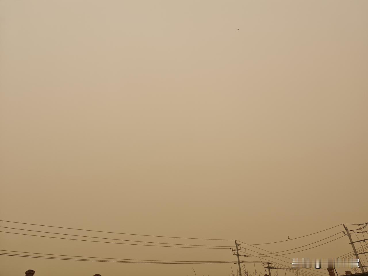 对联刮飞了，灯笼刮跑了，年味在一场大的沙尘暴中荡然无存！内蒙古2026年第一场