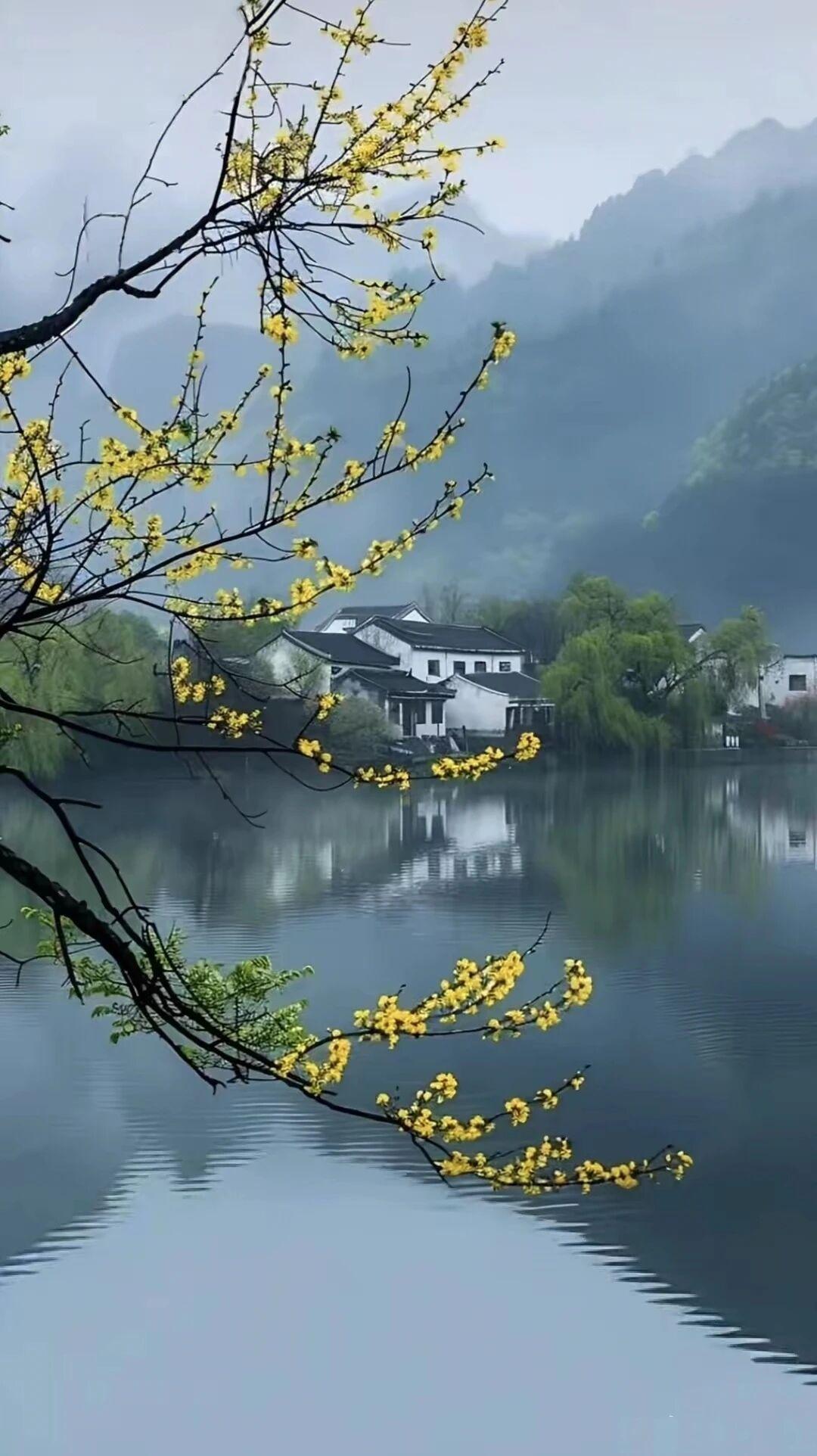 天蝎座最大的福报藏在他们的骨血里渗透到骨子里的真诚和善良谁也改变不了他们看