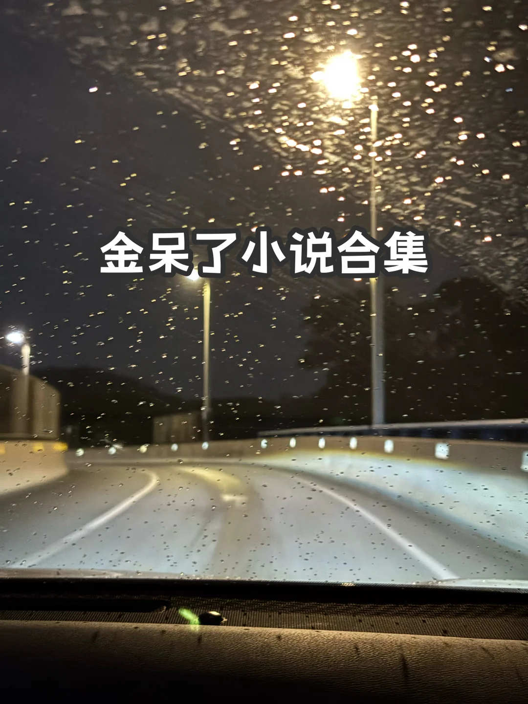宝藏小说大大—金呆了