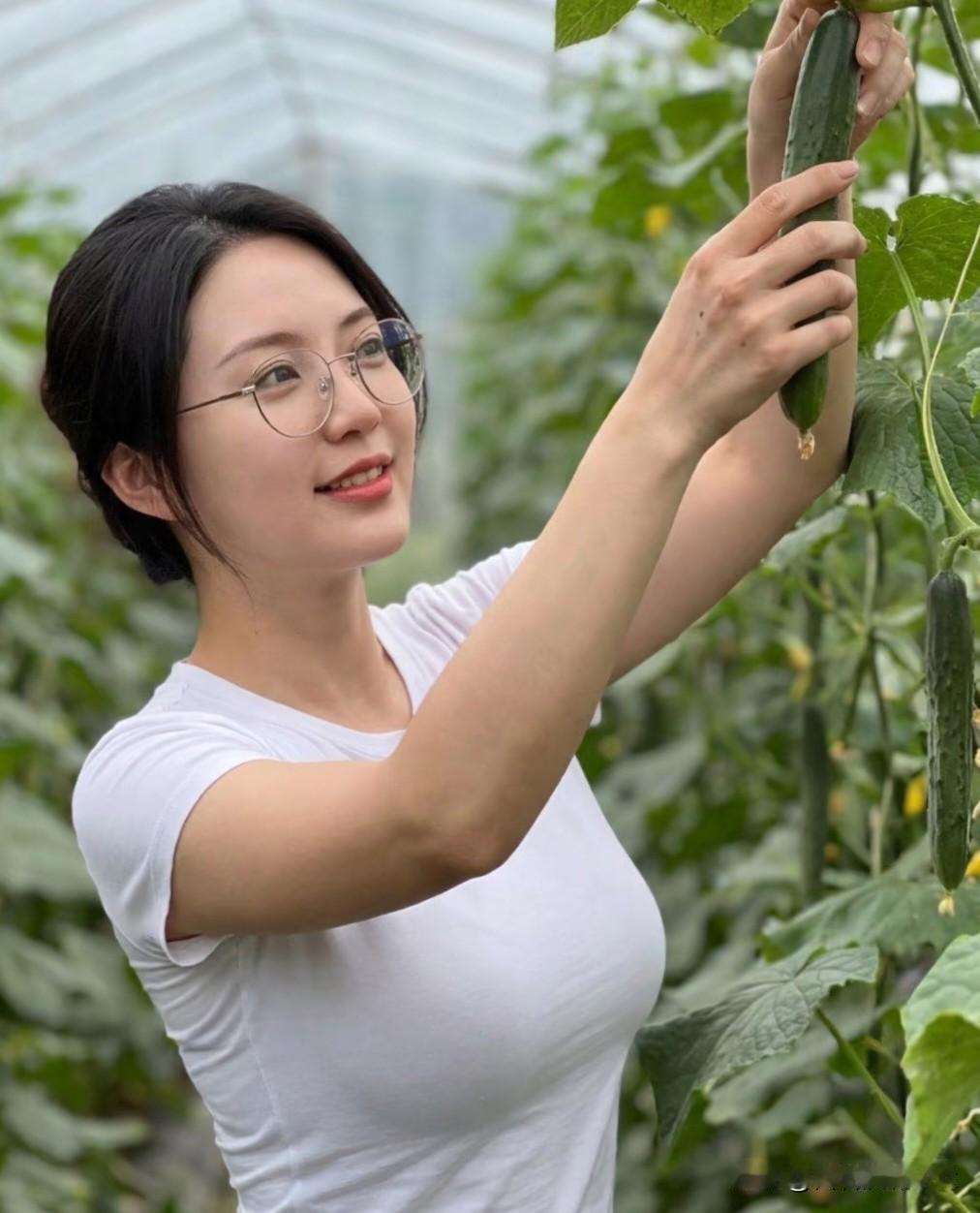 减字木兰花·棚中撷翠晴棚风软，翠蔓牵丝垂露满。轻撷新条，笑指瓜身带嫩梢。