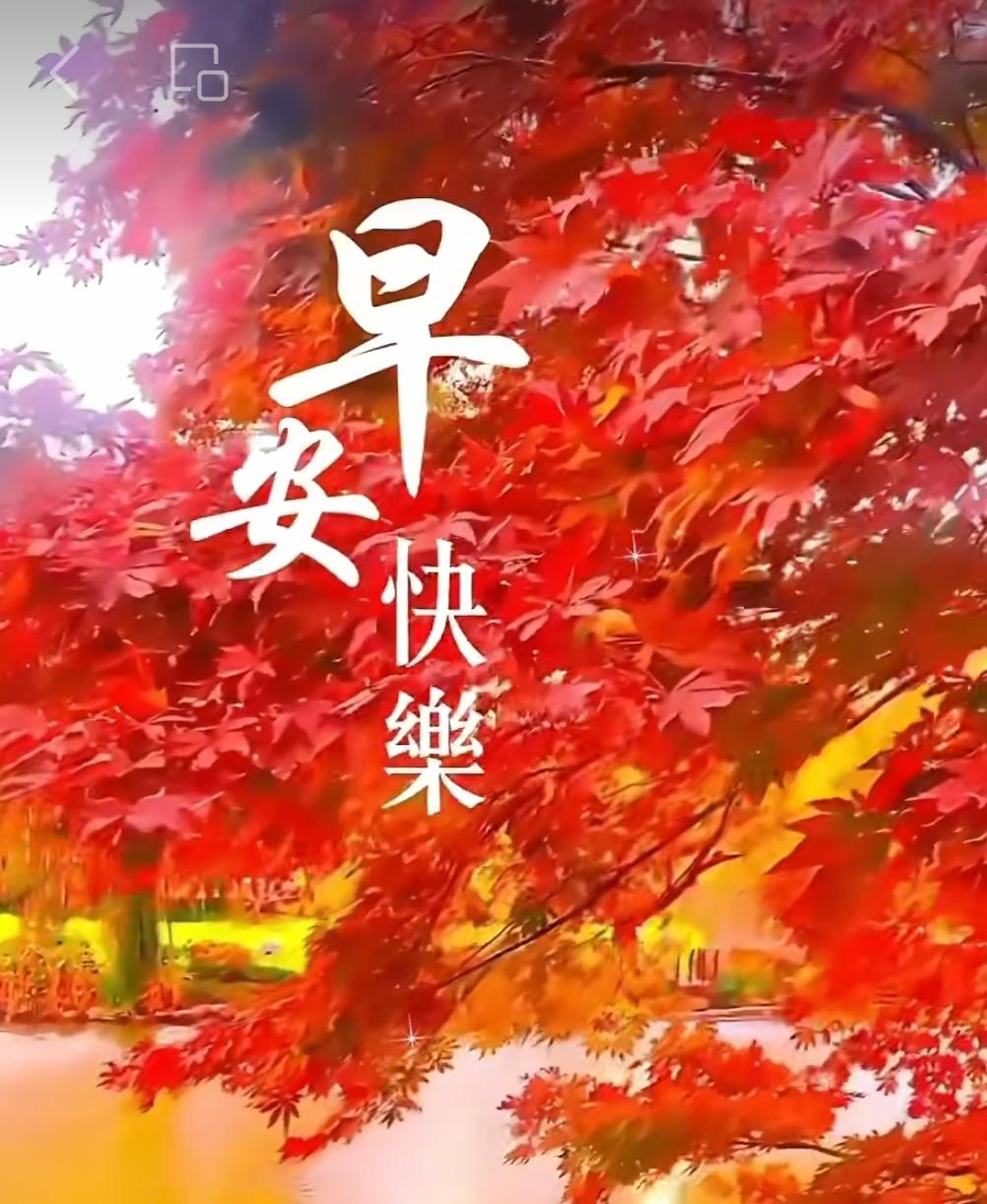 微笑迎來美麗的今天，微信傳遞著美好祝願，問候送去快樂與平安，新的一天都吉祥