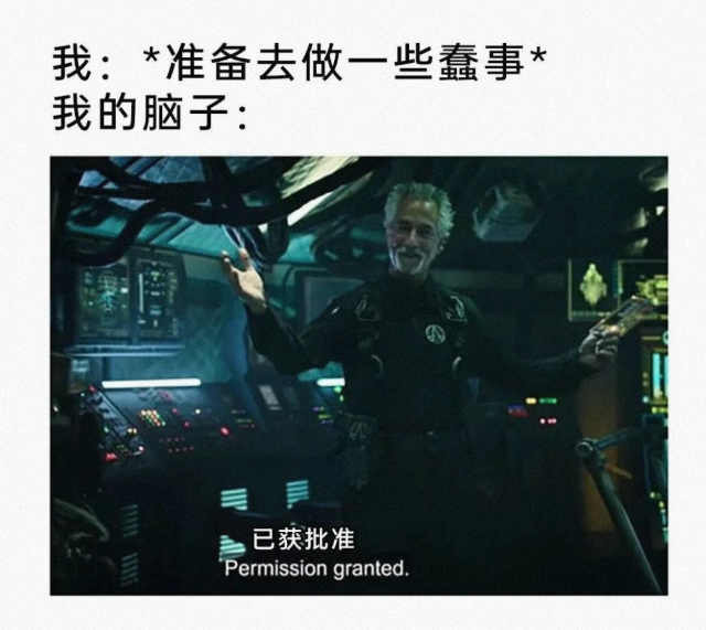 准备去做一些蠢事的我