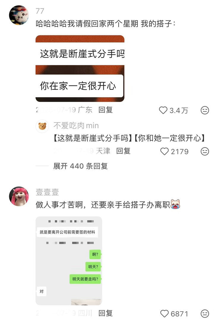 提离职后我的工作搭子疯了