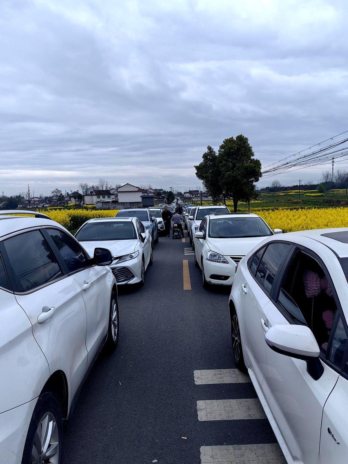 听我一句劝，现在，立刻，马上，掉头！准备来汉中皇塘看油菜花的，别来了，真的。